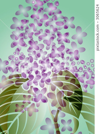 丁香花 日式 日式圖案 3065624