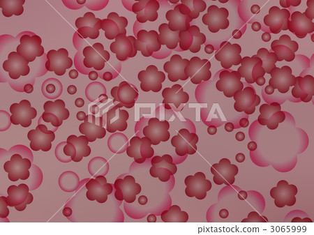 花朵 花 花卉 3065999