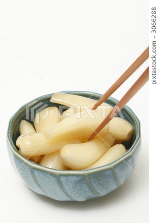 Scallions 3066288