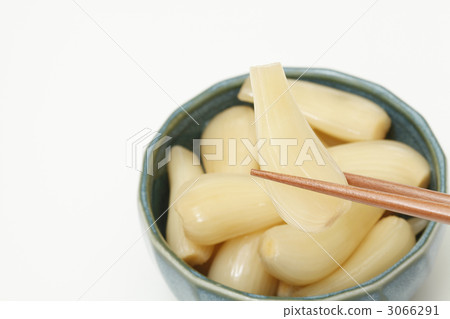 樂教 樂教 3066291
