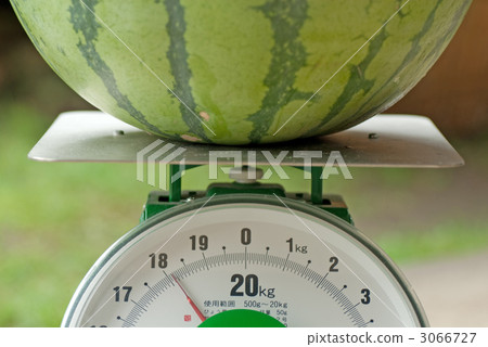 Weight measurement of watermelon 3066727