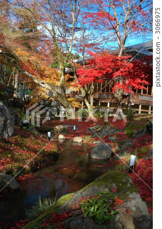 Autumn leaves of Kyoto Buddhist priest 3066975