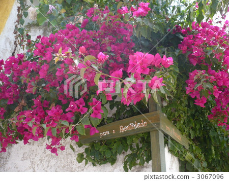 沿Obidos路的一個標誌 3067096