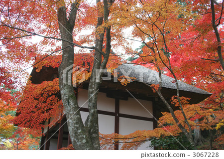 Jotokoji Temple 3067228