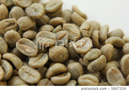 咖啡豆生豆 3067326