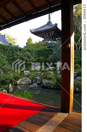 Anotera Anotera 3068415