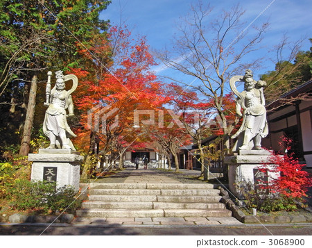 Kageya Tokugawa 3068900