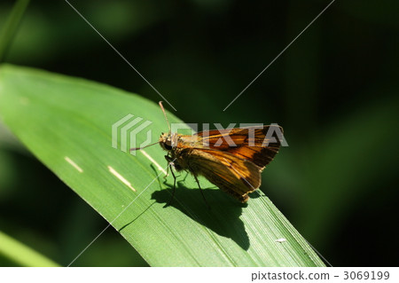 Powered by Discuz！ 3069199