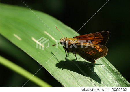 Powered by Discuz！ 3069202