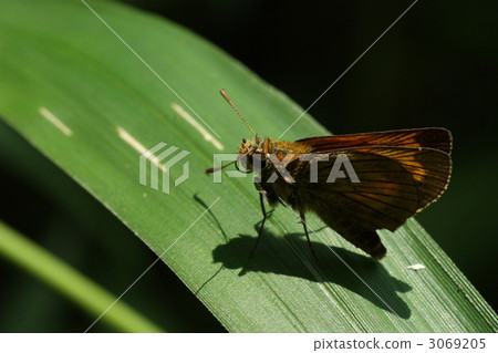 Powered by Discuz！ 3069205