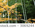 京都Jonkoji寺廟秋葉 3069244