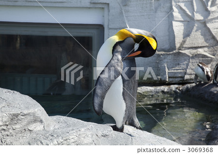 旭山動物園 旭山動物園 3069368