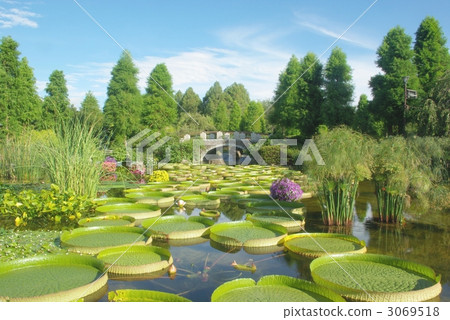 水生植物園 3069518