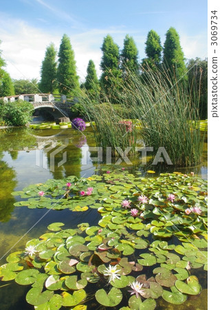 水生植物園 水生植物園 3069734