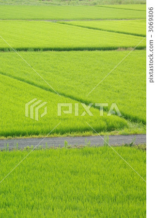 Country road Country road 3069806