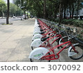 Eco-Bicycle (Bicycle rental) 3070092