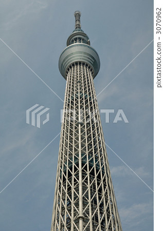 Sky tree  3070962