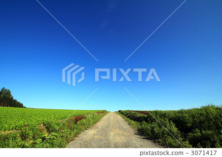 一條路和現場的地平線 3071417