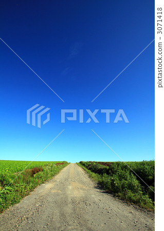 One road in the field 3071418