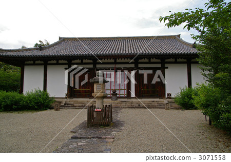 New Yakushiji main hall 3071558