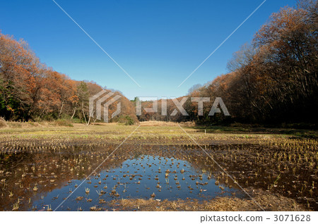 秋Yato Do. 秋Yato Do. 3071628