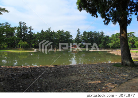 Hikoshiji garden 3071977
