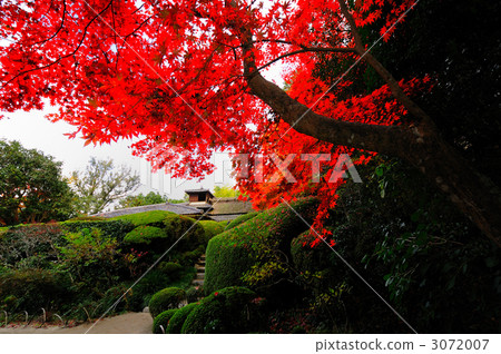 京都Shisen-do秋葉 3072007