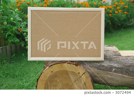 message board  3072494