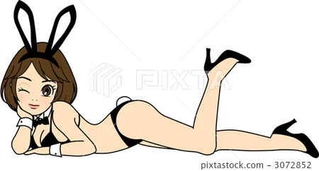 說謊的兔女郎 3072852