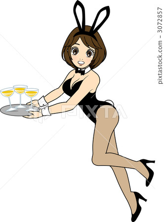 A busy bunny girl 3072857