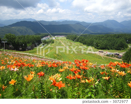 Summer slopes Summer slopes 3072977