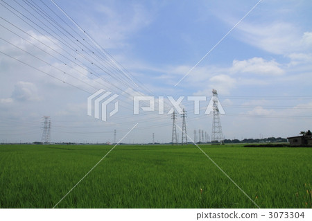 高壓塔和鄉村景觀 高壓塔和鄉村景觀 3073304