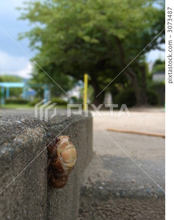 Emergence of Abra Zemi 3073487