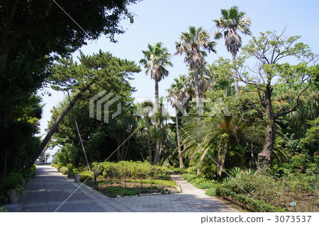 Enoshima Samuel Cocking Garden Enoshima Samuel Cocking Garden 3073537