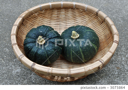 pumpkin pumpkin 3073864