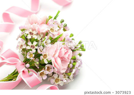 Carnation bouquet Carnation bouquet 3073923
