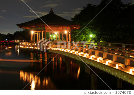 浮禦堂寺 奈良梅花鹿公園 奈良公園 3074078
