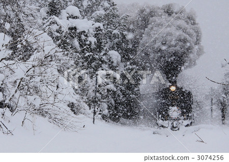 蒸汽機車 磐越物語滑板鞋 白雪皚皚 3074256