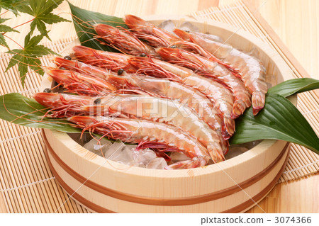 Twelve tail prawn (bear) Twelve tail prawn (bear) 3074366