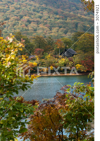 山小屋和秋葉 3074921