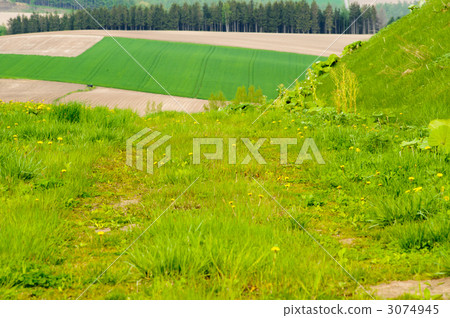 Spring Hill Spring Hill 3074945