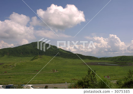 阿蘇草Sengahamahama 3075385