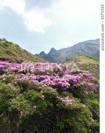 Aso Senzhen gorge 3075585