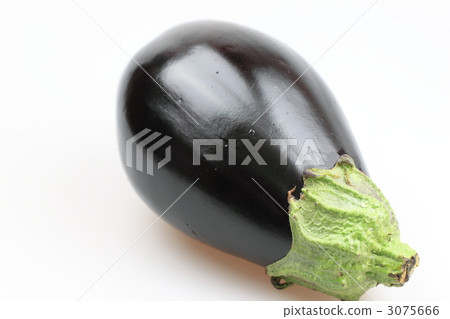 美國茄子 3075666