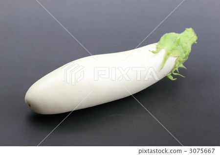 White eggplant White eggplant 3075667