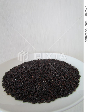 Black purple rice 3075749