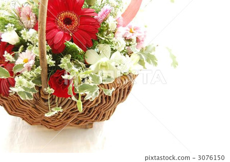 Christmas ★ Gerbera ★ Basket arrangement 3076150