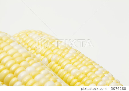corn corn 3076280