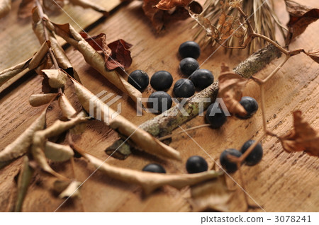 黑豆 黑豆 3078241