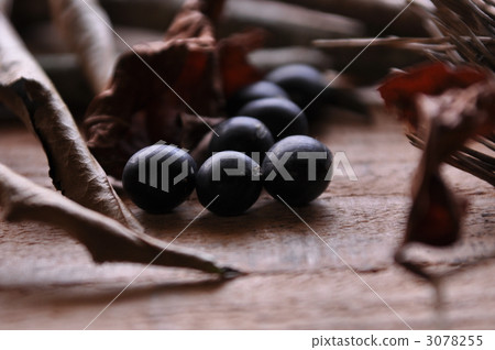 Tamba Sasayama black bean Tamba Sasayama black bean 3078255